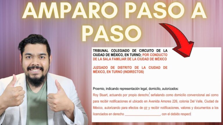 Formato De Demanda De Amparo Directo En Materia Familiar
