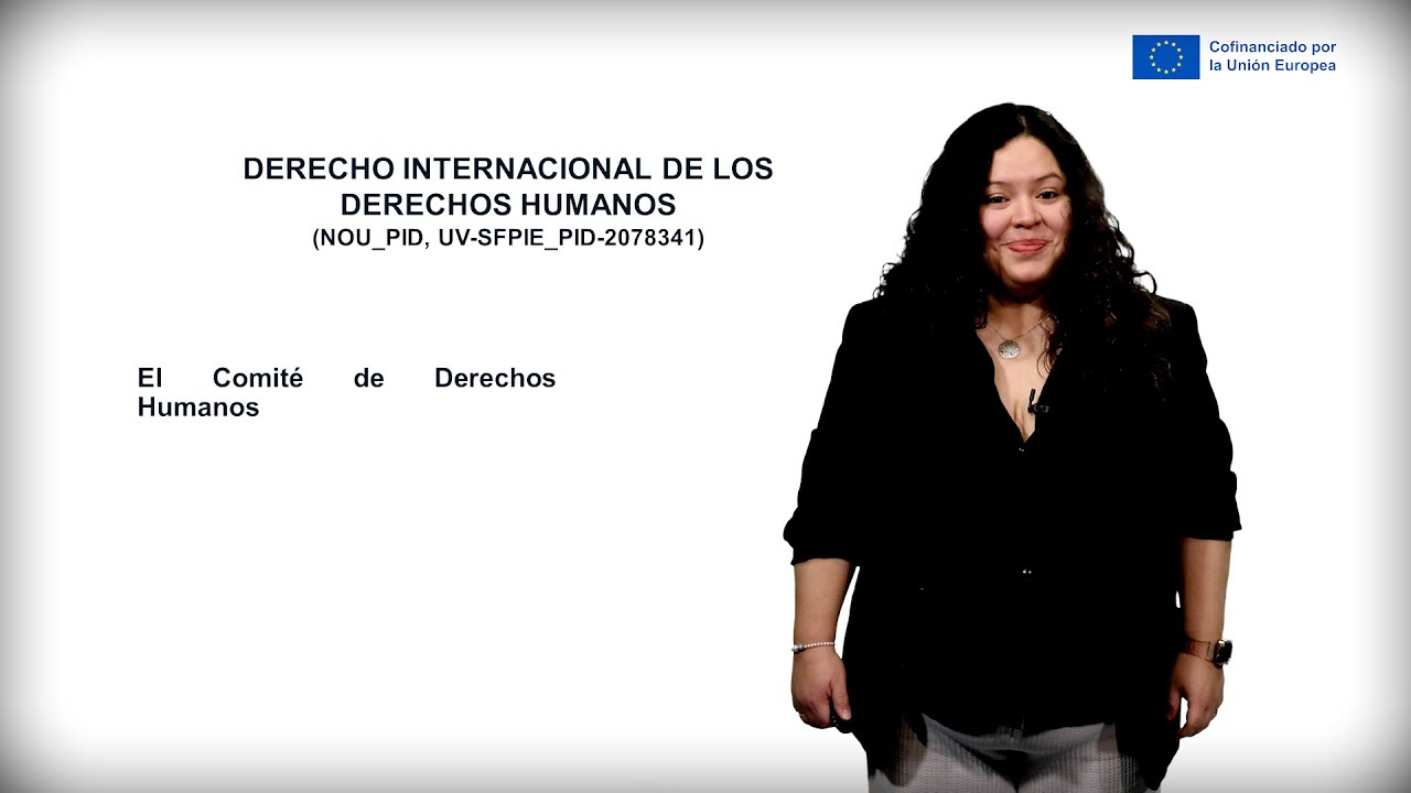 comite de derechos humanos de la onu
