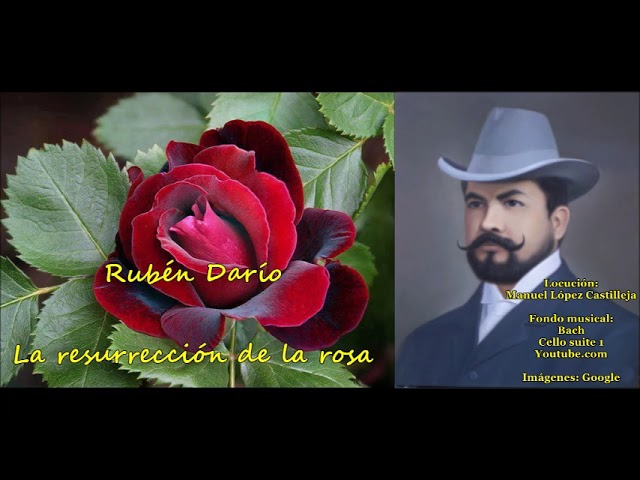 la resurrección de la rosa ruben dario