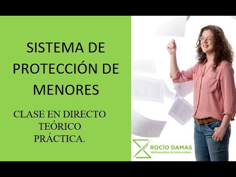 ley de proteccion juridica del menor