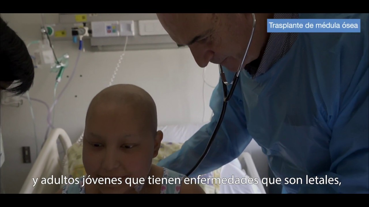 como se hace el transplante de medula
