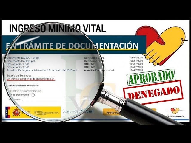ingreso mínimo vital en tramite que significa
