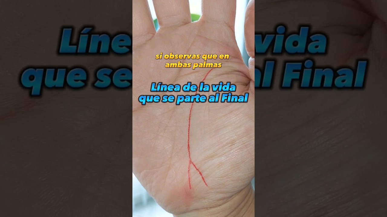 linea de la vida partida en dos
