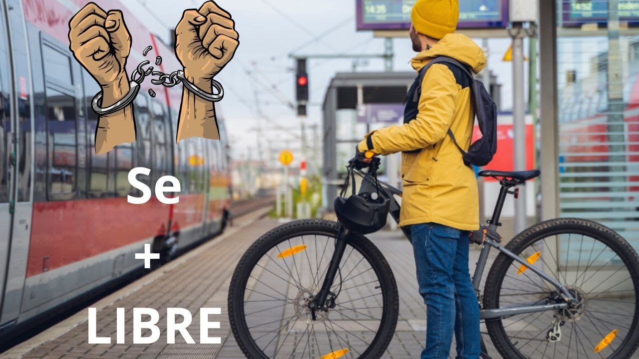 dar ingreso a personas a un medio de transporte