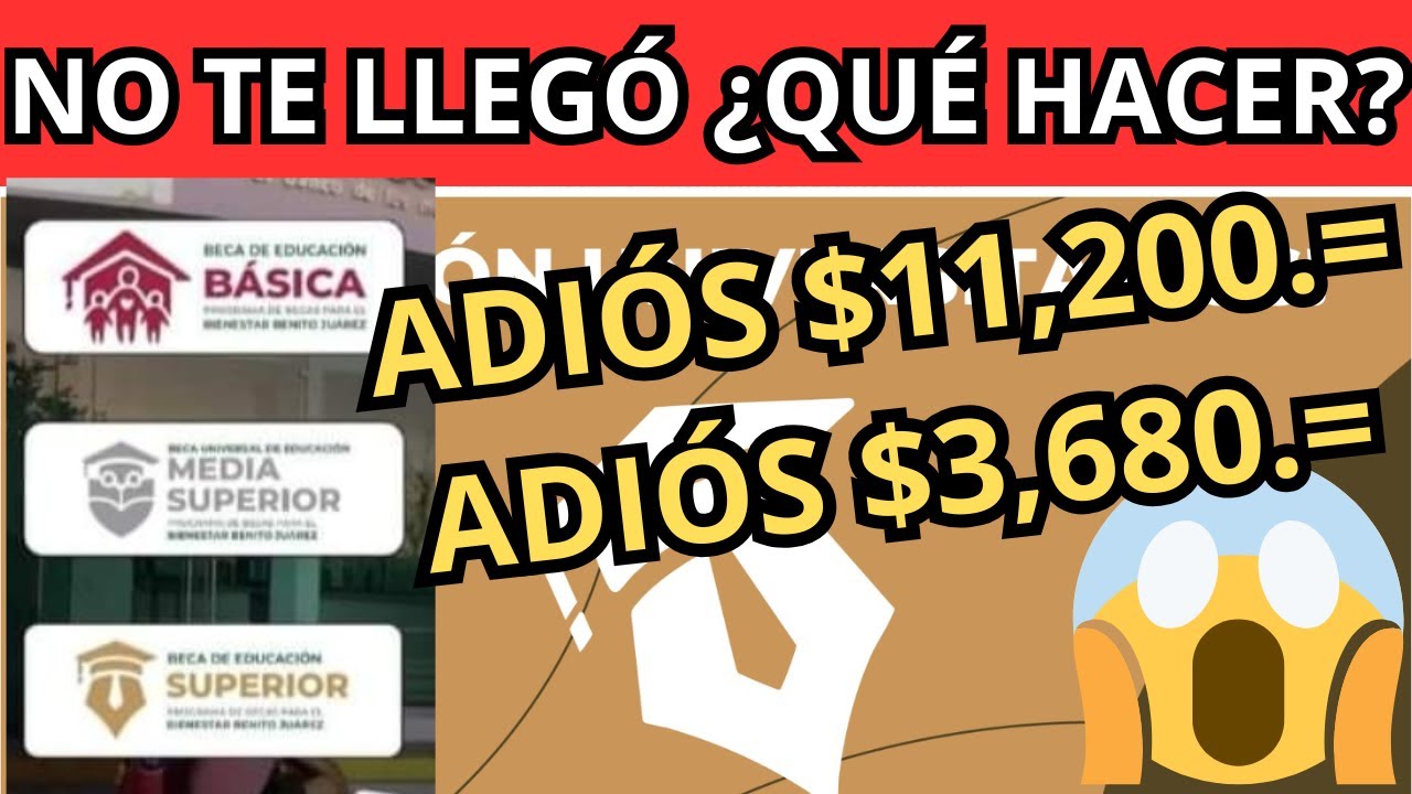 no me ha llegado el dinero de la beca