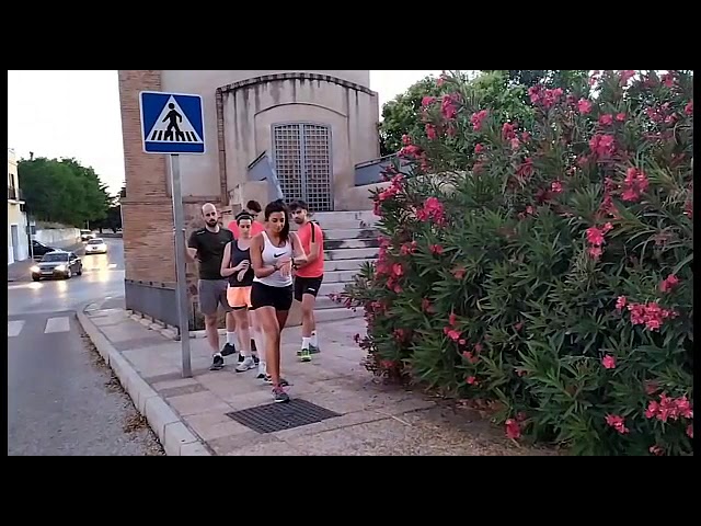 abreviatura fuerzas y cuerpos de seguridad del estado