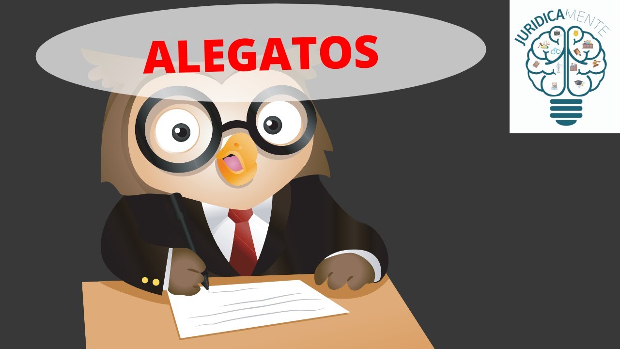 escrito de pruebas y alegatos pama