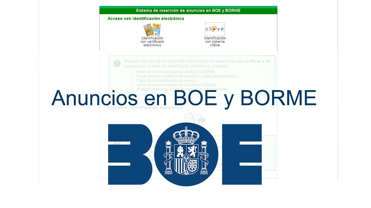 que es el borme en españa