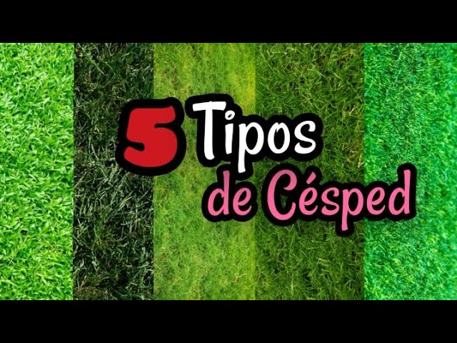 terreno de pasto común a dos o más pueblos