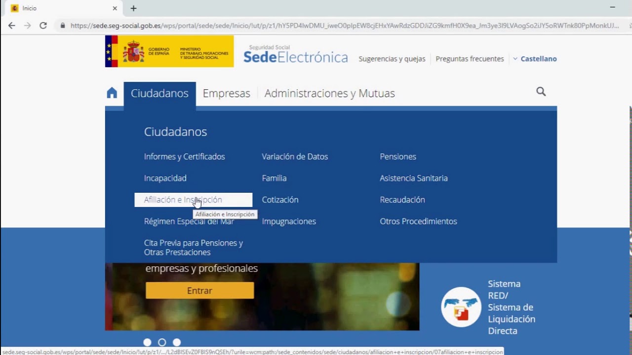 base de datos de empresa seguridad social