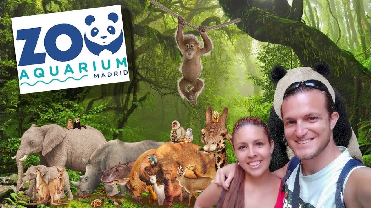 como ir al zoo de madrid
