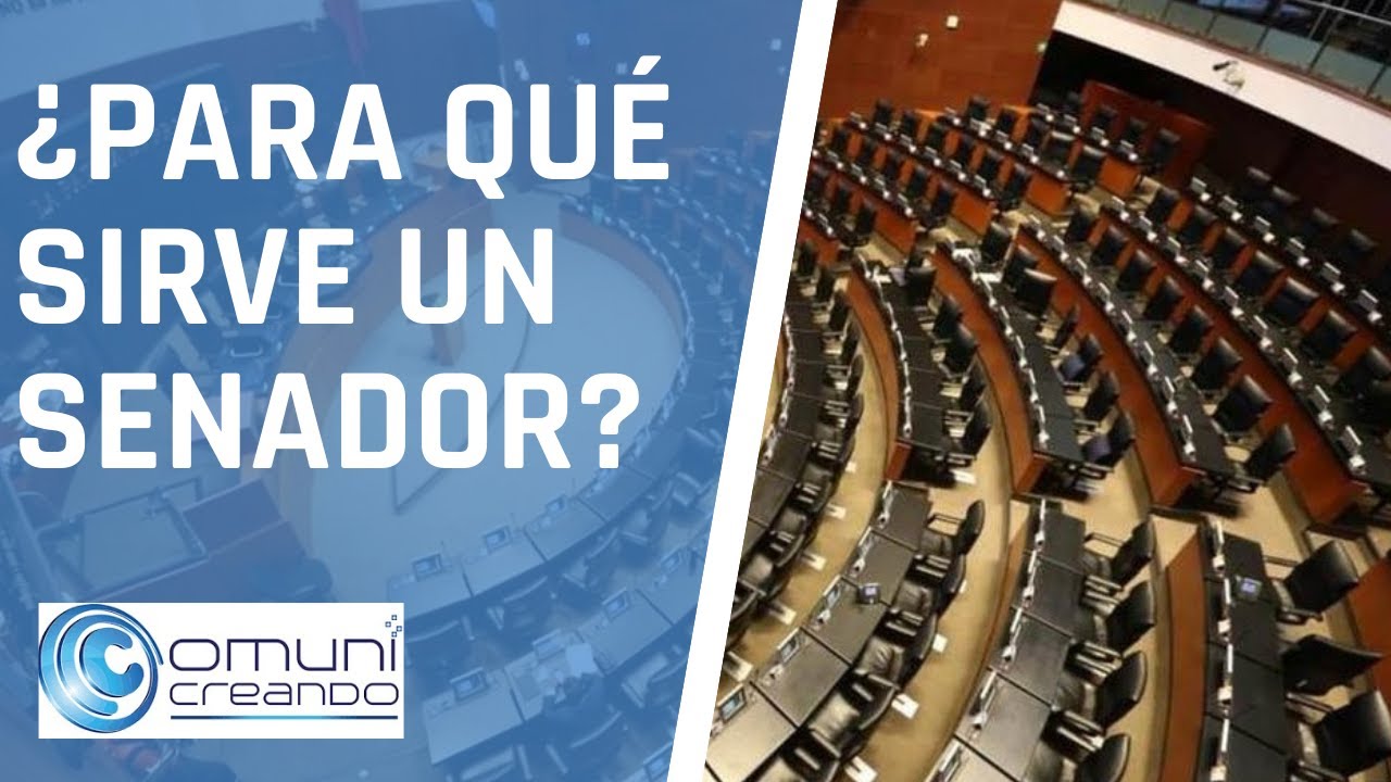 cual es la funcion del senado