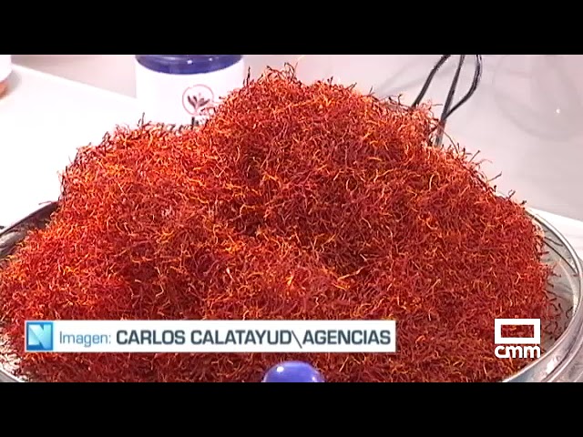 fátima rodríguez villafranca de los caballeros