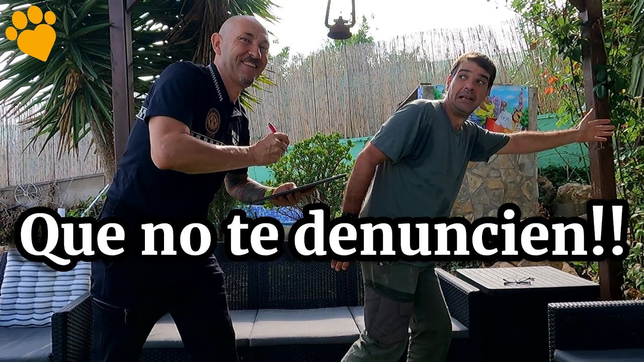 que dice la ley de bienestar animal