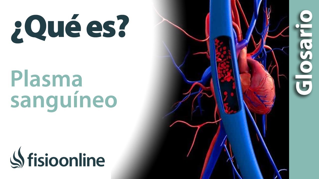 que es el plasma en la sangre