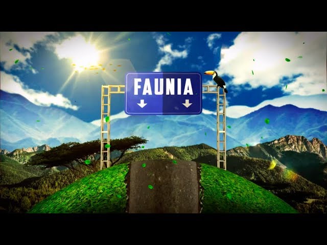 como llegar a faunia desde madrid