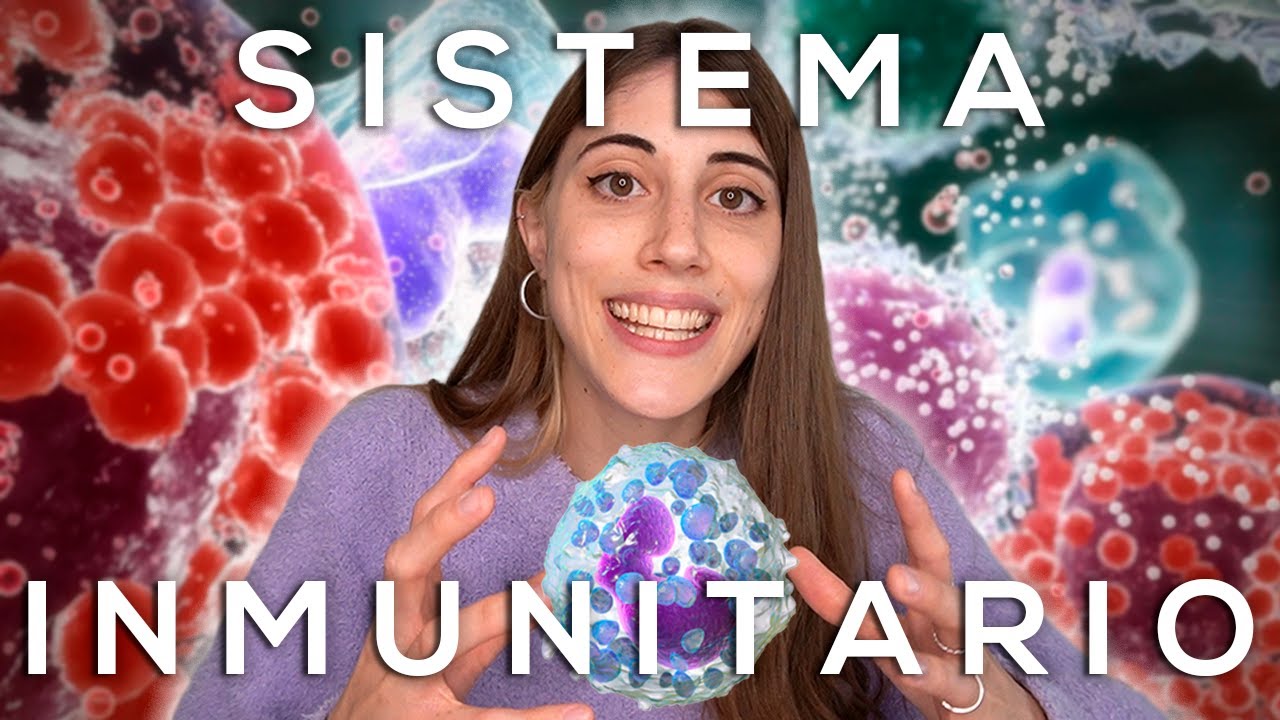 cuántas respuestas inmunes tiene el cuerpo a grandes rasgos