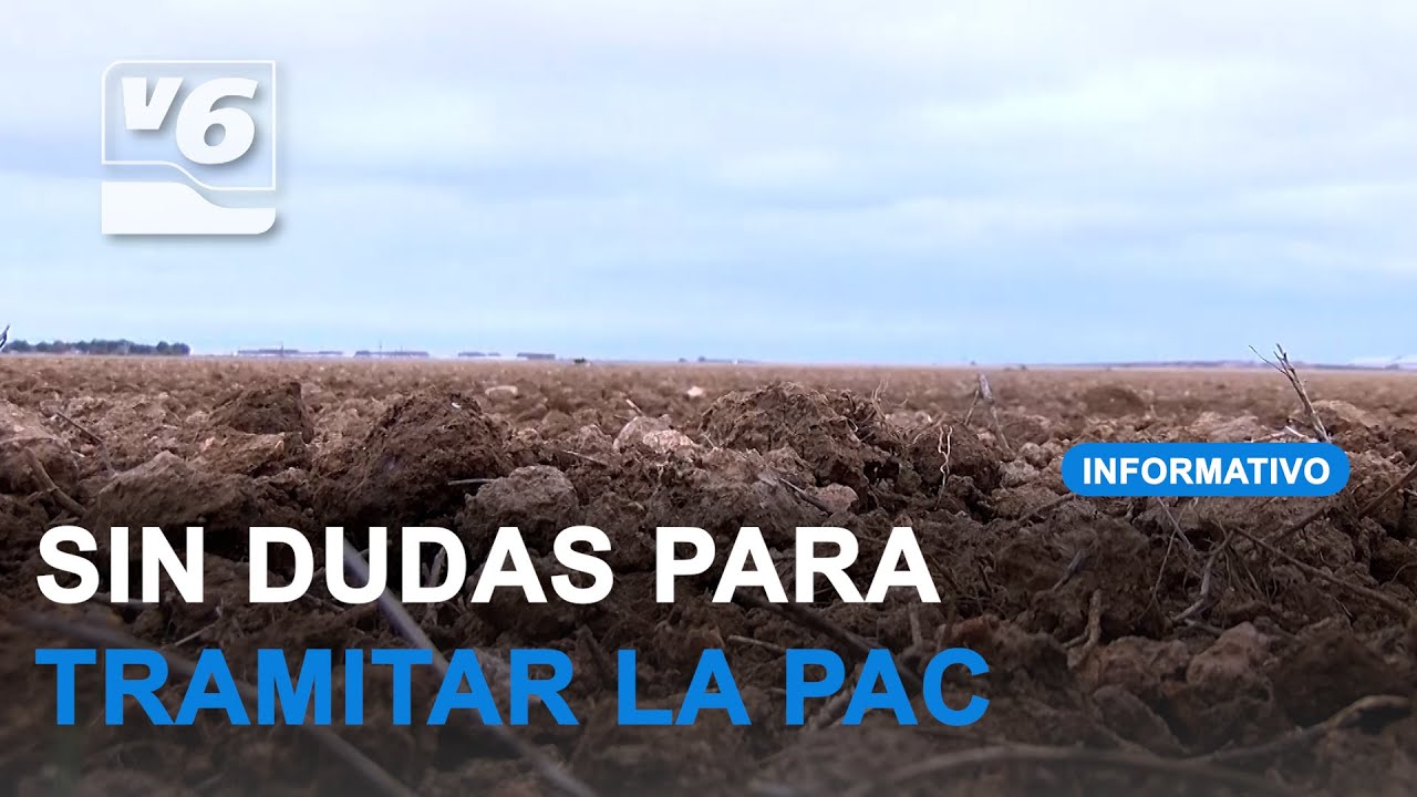 cuanto se cobra de subvención por olivo