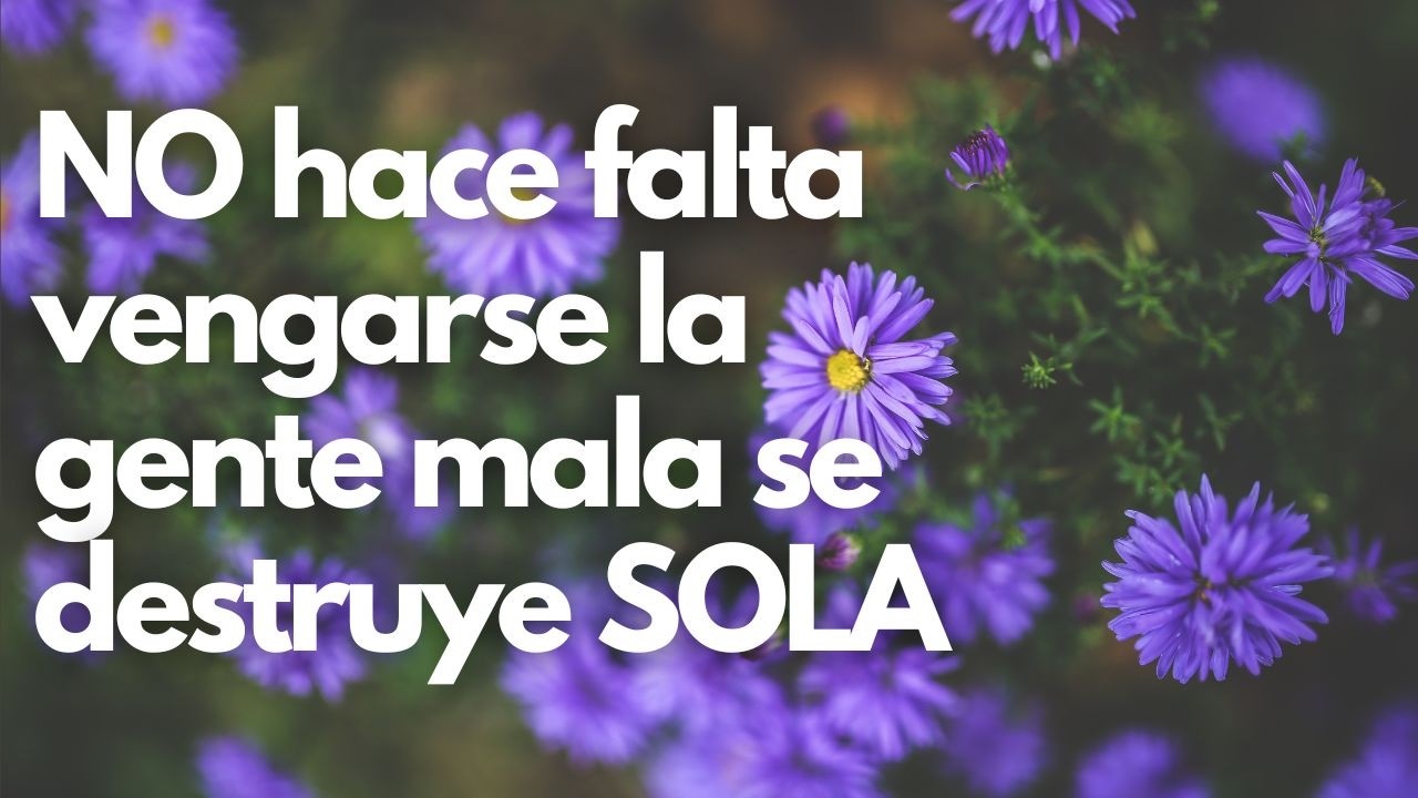 las malas personas se destruyen solas