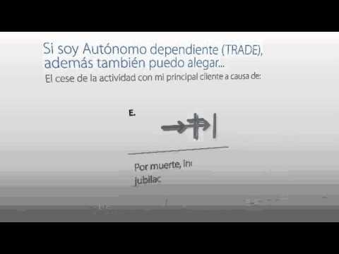 situación legal de cese de actividad
