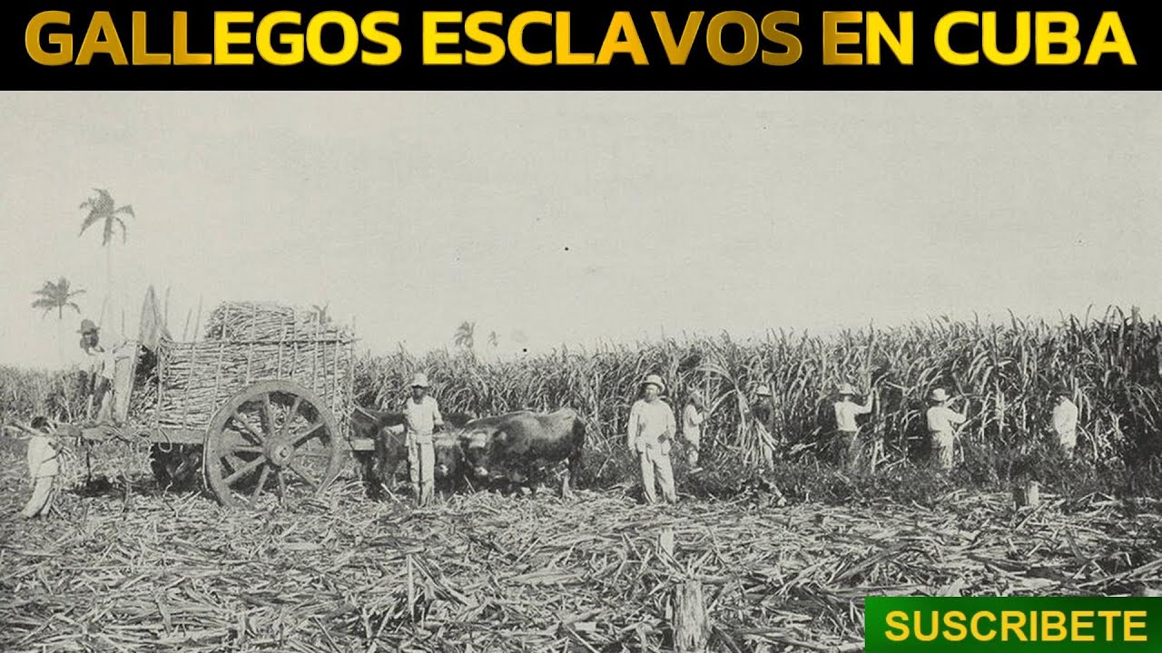 urbano feijóo sotomayor y alberto núñez feijóo