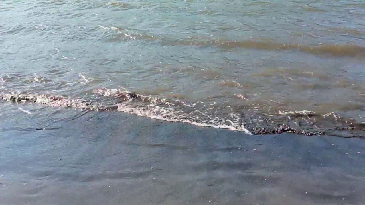 alcalde san juan de la arena