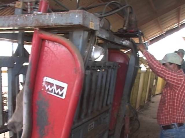 comite de fomento y proteccion pecuaria