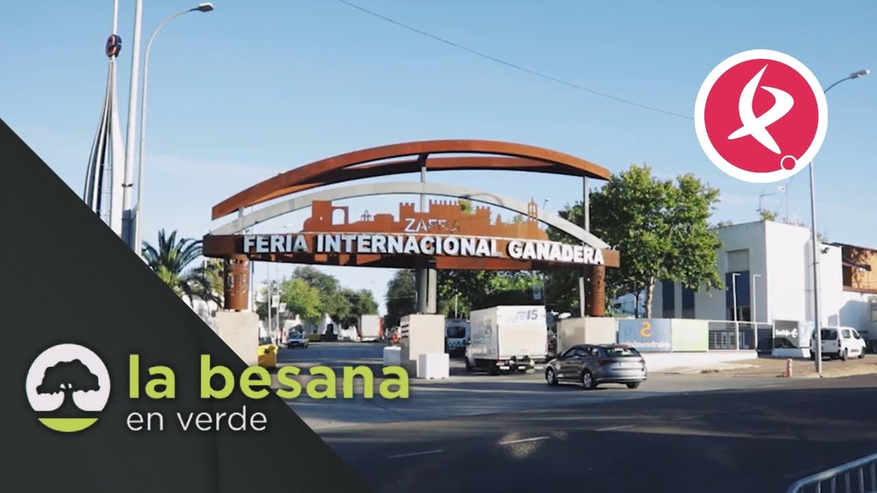 cuando es la feria de zafra