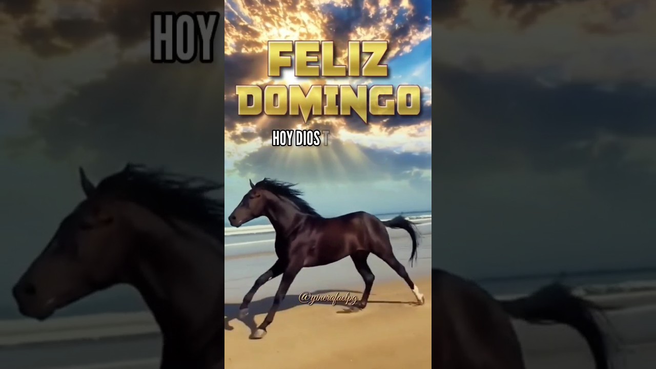 dar los buenos días en domingo