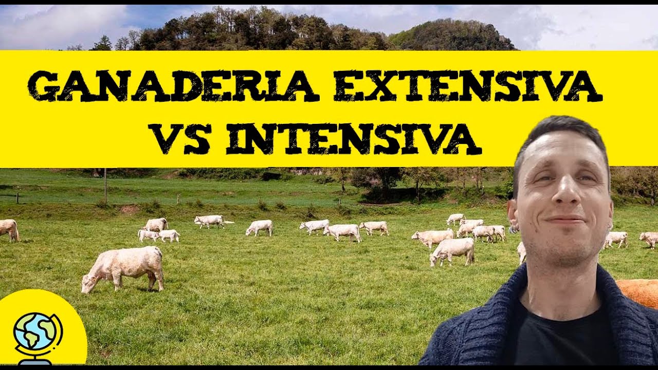 diferencias entre ganadería intensiva y extensiva