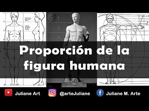 disposición o proporción del cuerpo humano