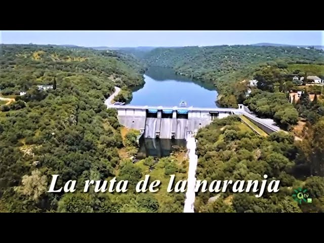 distancia palma del rio a cordoba