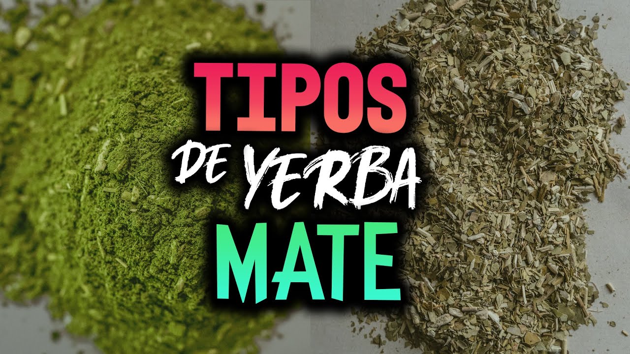 el mate es una de yerba mate cody