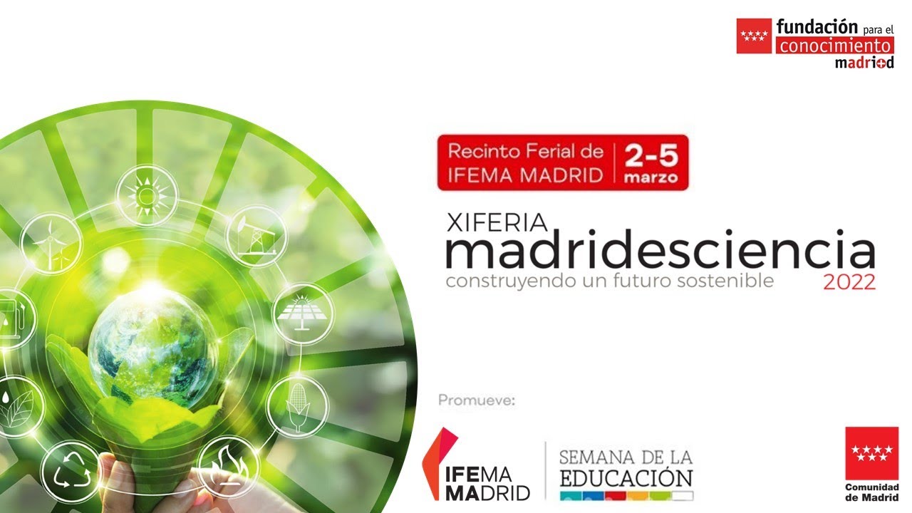 innovacion y formacion del profesorado madrid