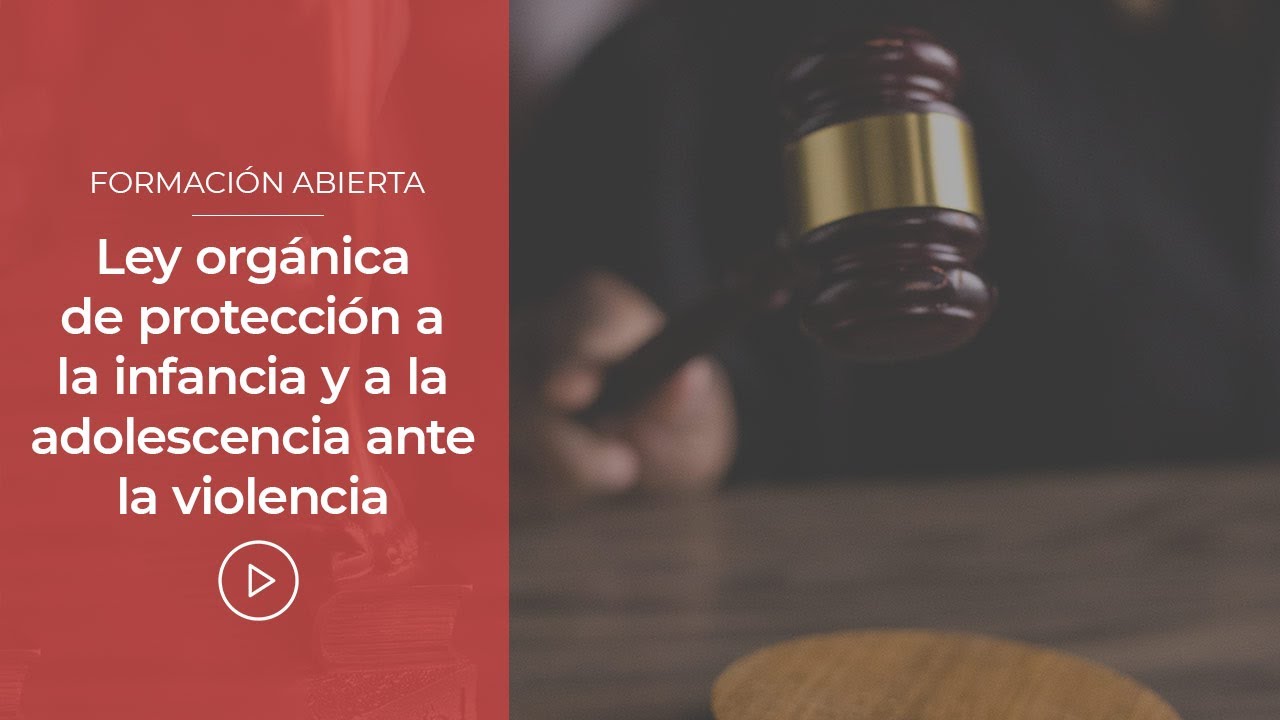 ley de proteccion a la infancia y adolescencia