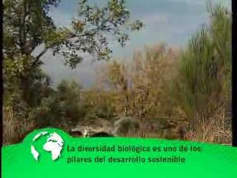 ley del patrimonio natural y de la biodiversidad