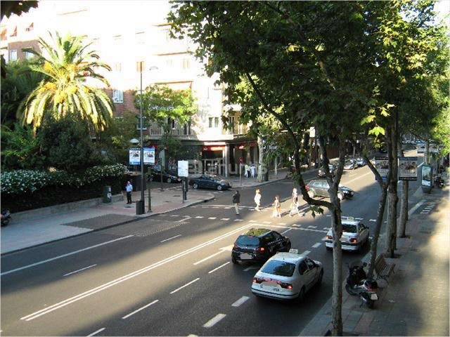 paseo del general martínez campos 37