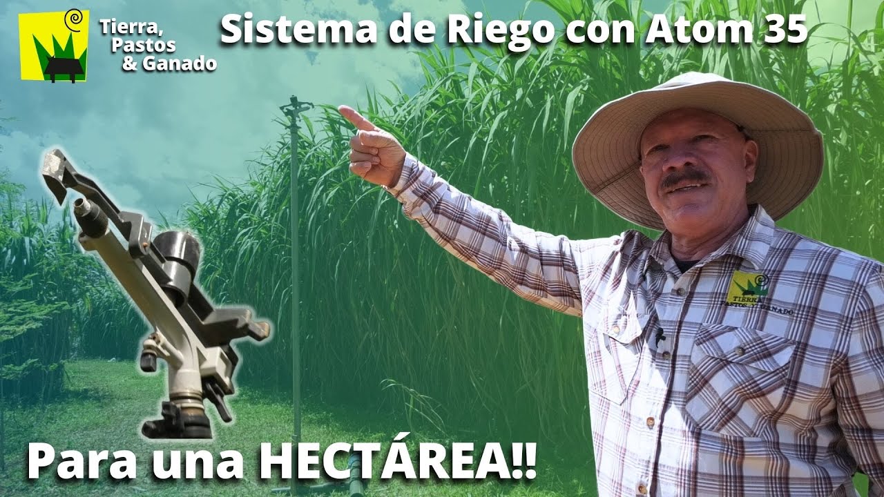 persona encargada del riego de los campos