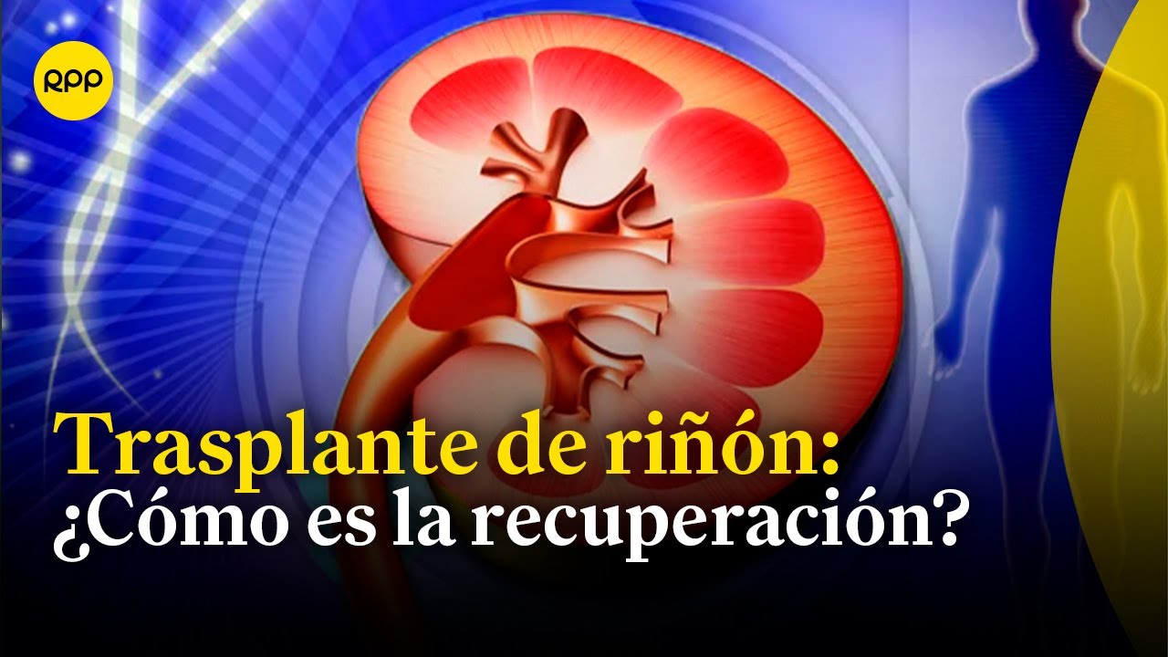 trasplante de riñón tiempo de recuperación